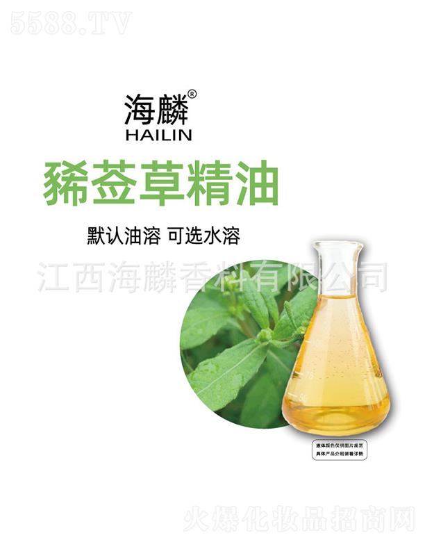 �����g�W�ݾ���