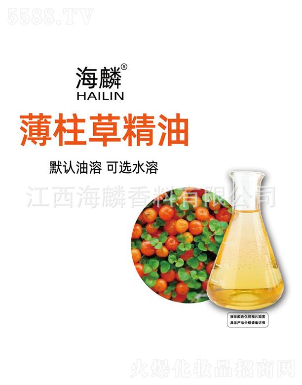 ���뱡���ݾ���