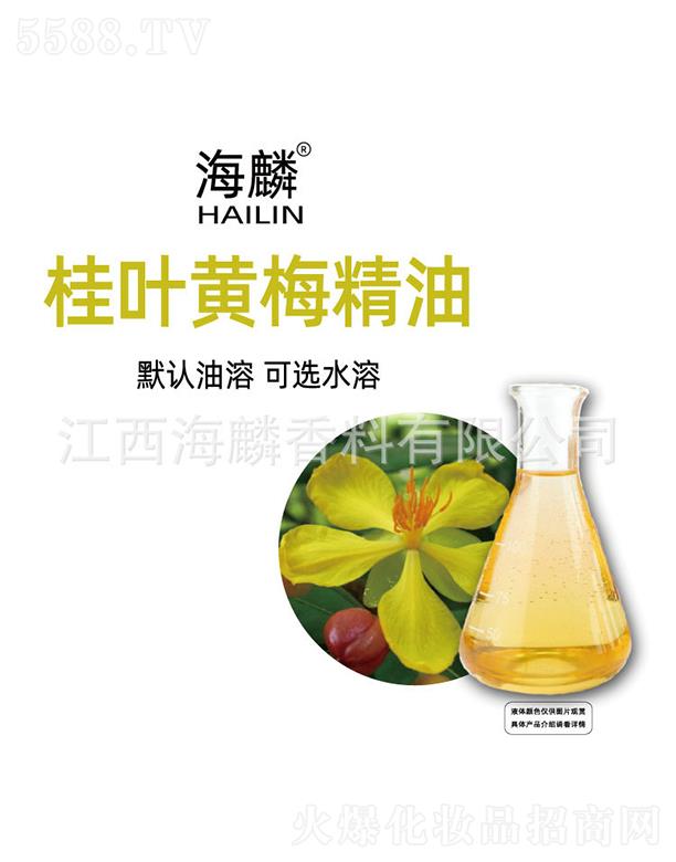 ������~�S÷����