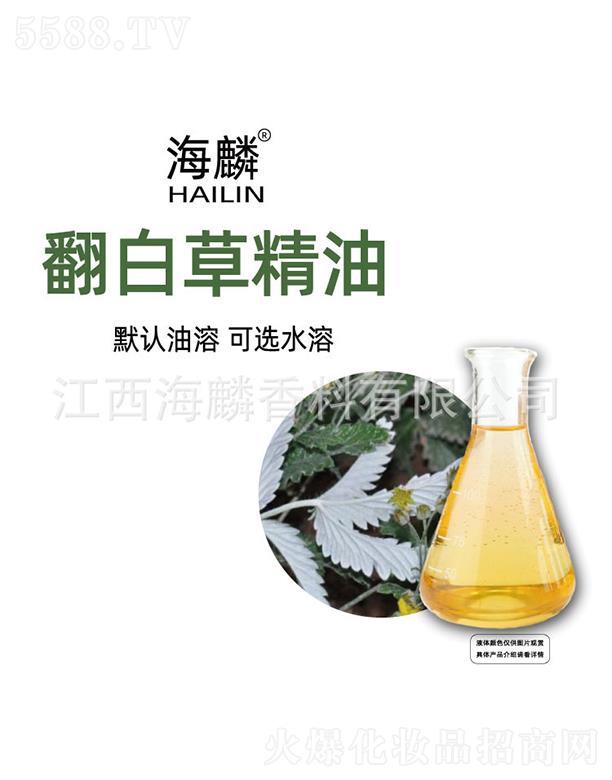 ���뷭�ײݾ���