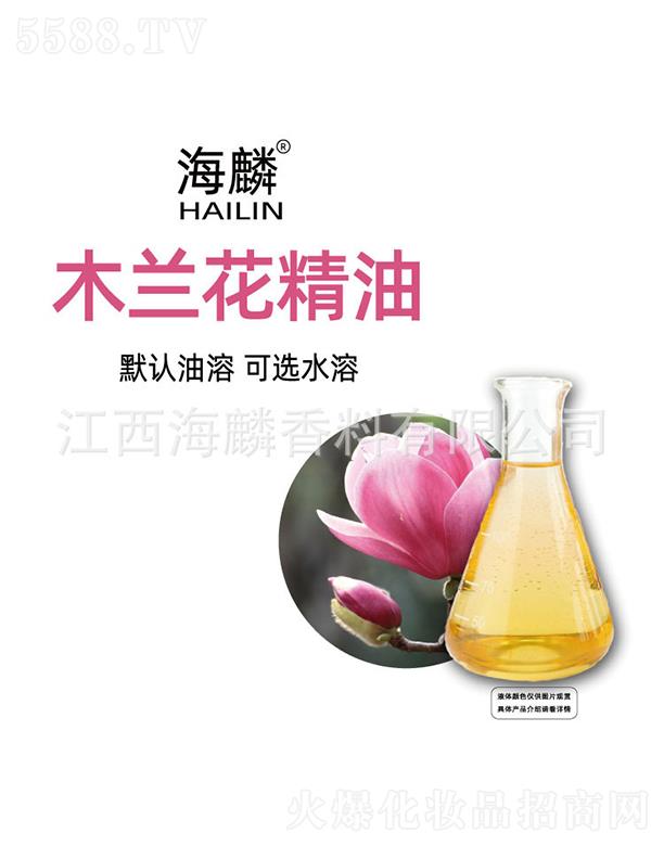 ����ľ�m������