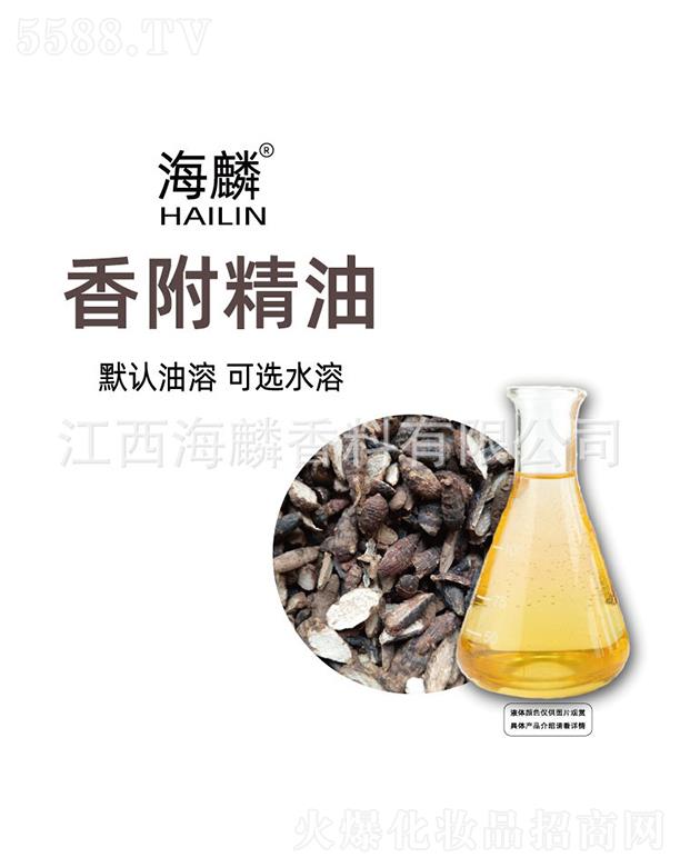 �����㸽����