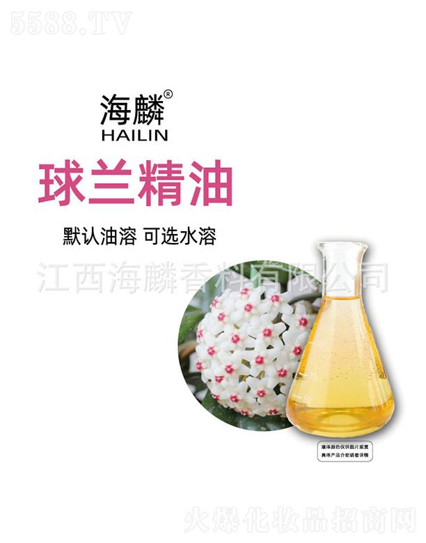 �������m����