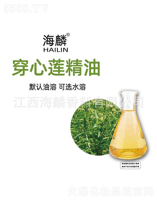 ���봩��ɏ����