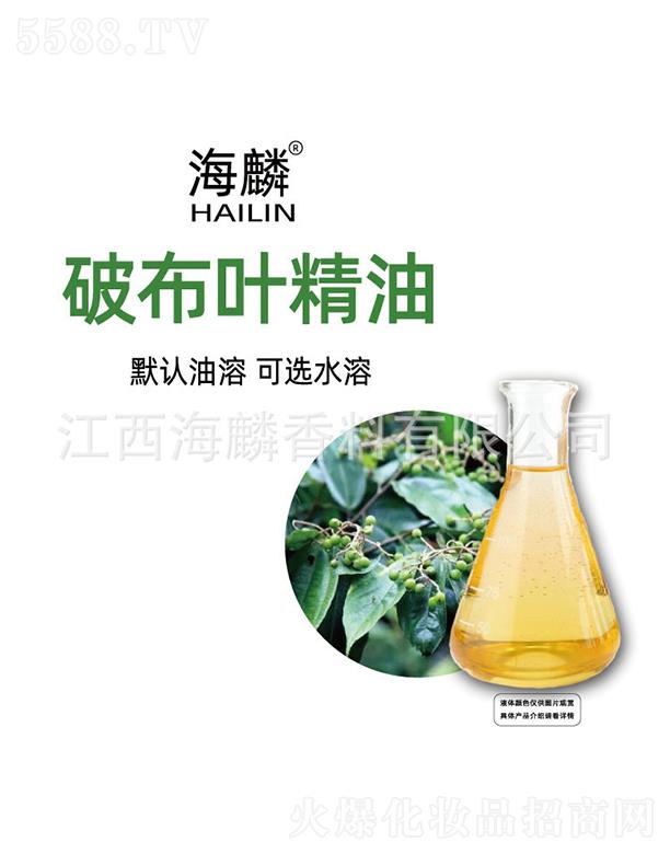 �����Ʋ��~����