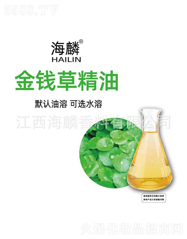 ������X�ݾ���