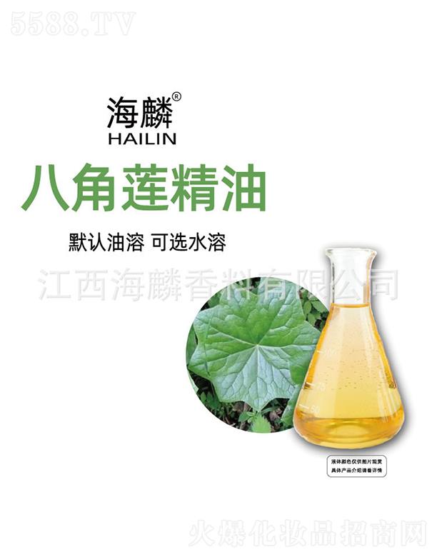 ����˽�ɏ����