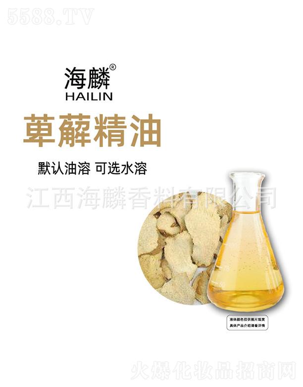 �������Z����