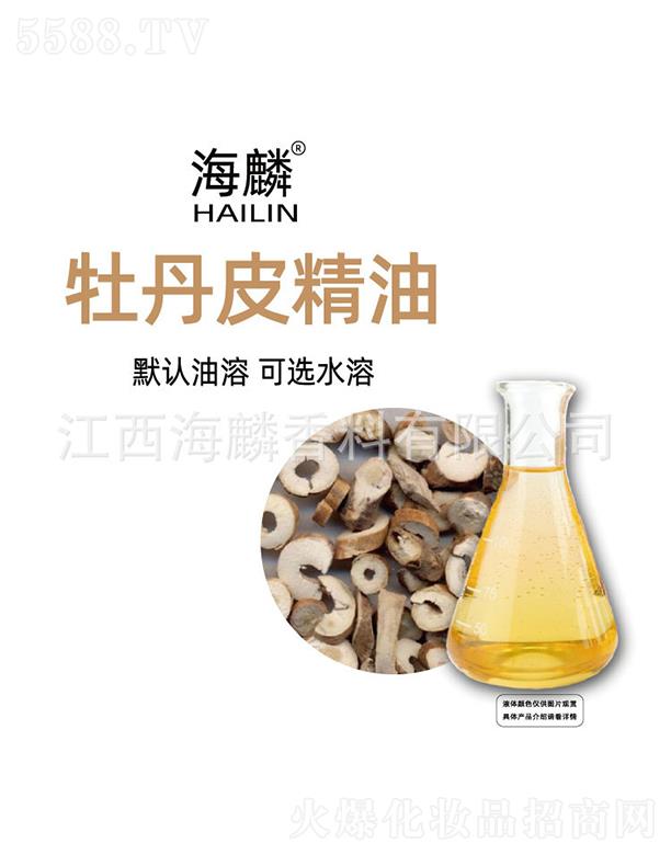 ����ĵ��Ƥ����