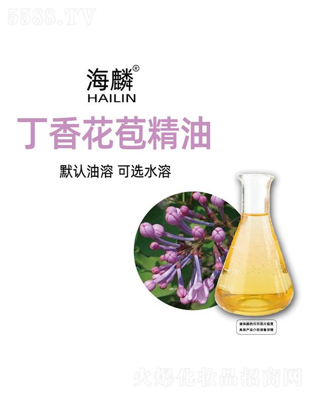 ���붡�㻨������