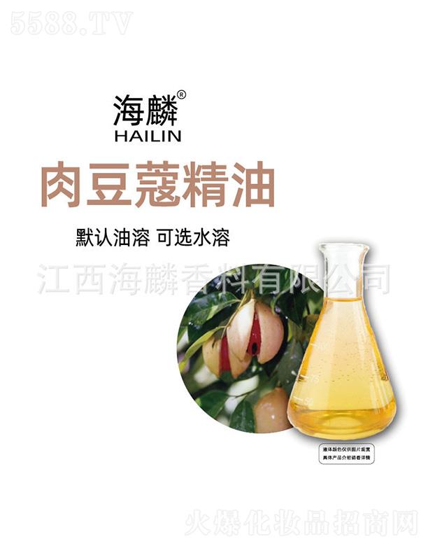 �����ⶹޢ����