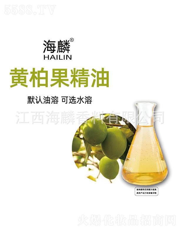 �����S�ع�����