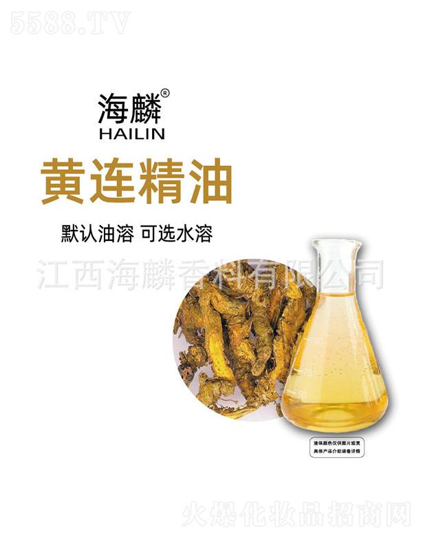 �����S�B����