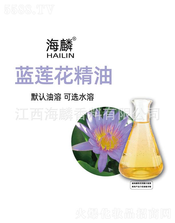 �����{(l��n)ɏ������