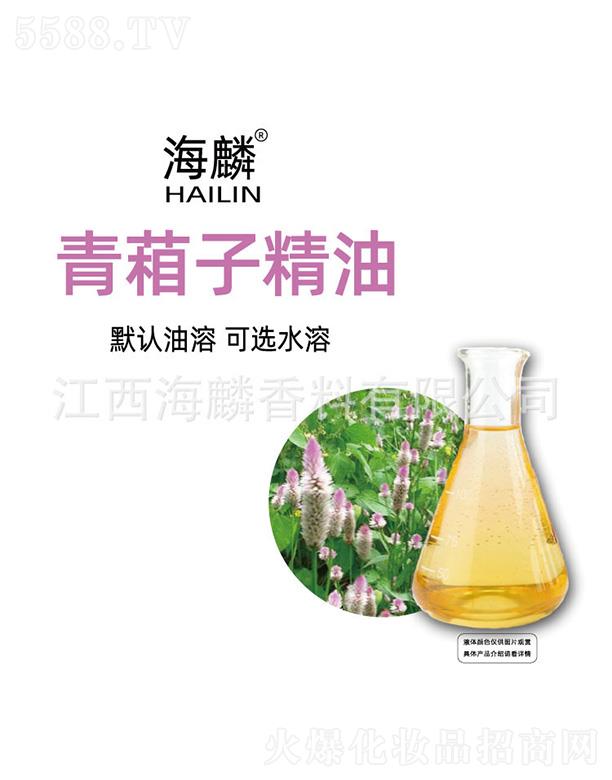 ���������Ӿ���