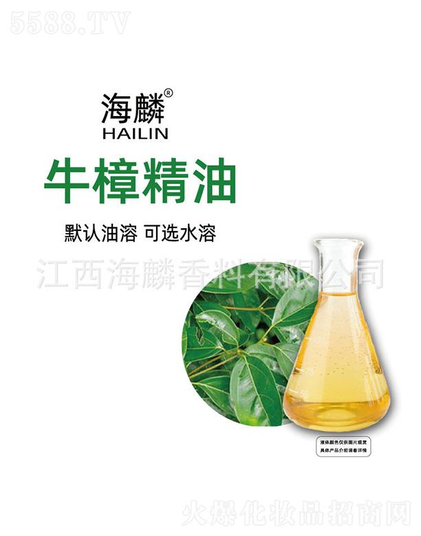 ����ţ������