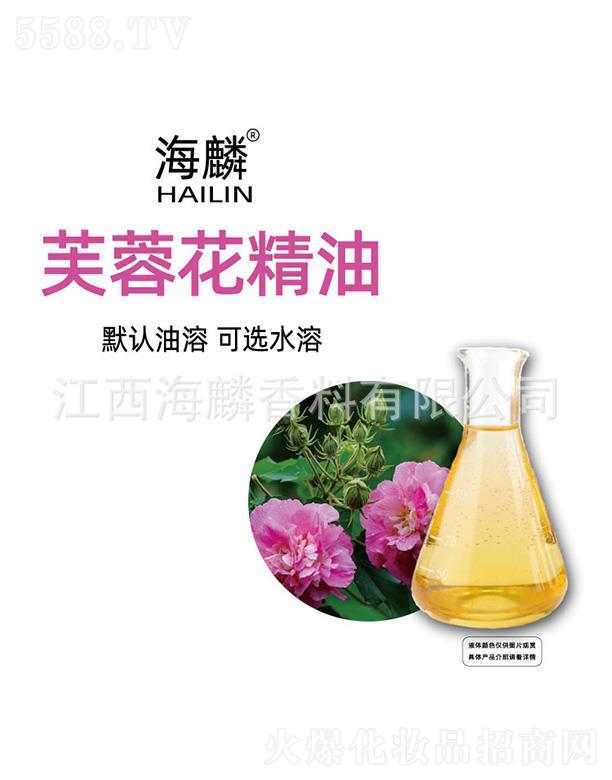 ����ܽ�ػ�����