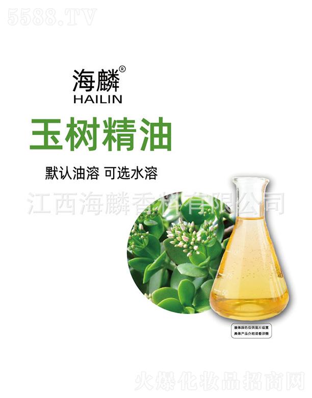 ������侫��