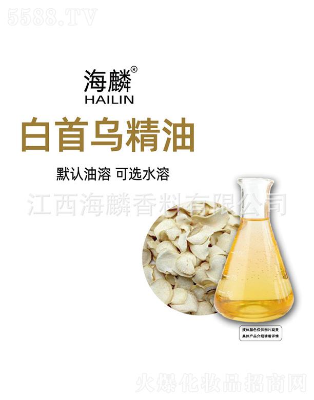 ������מ�����