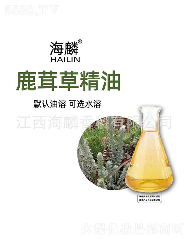 ����¹�ײݾ���