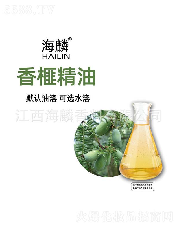 ������鼾���