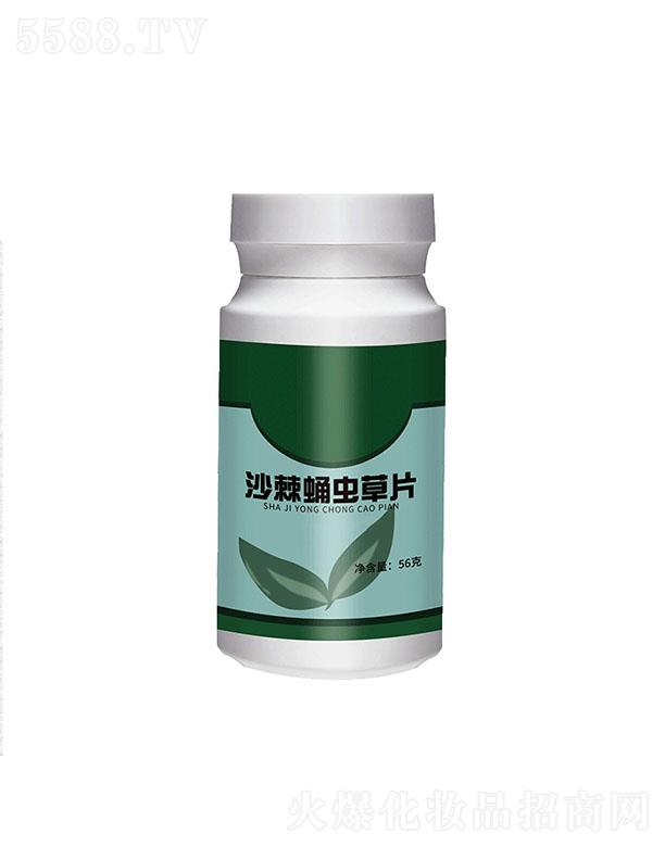 ������ɳ��Ӽ�x(ch��ng)��Ƭ 56��