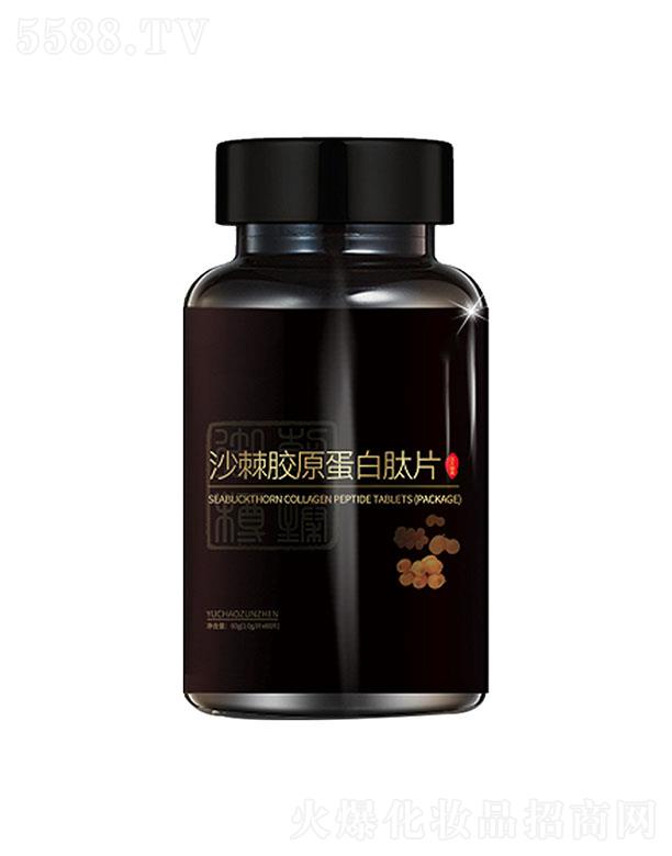 ������ɳ���zԭ������Ƭ