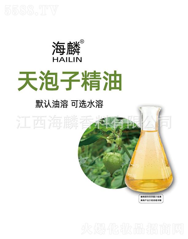 ���������Ӿ���