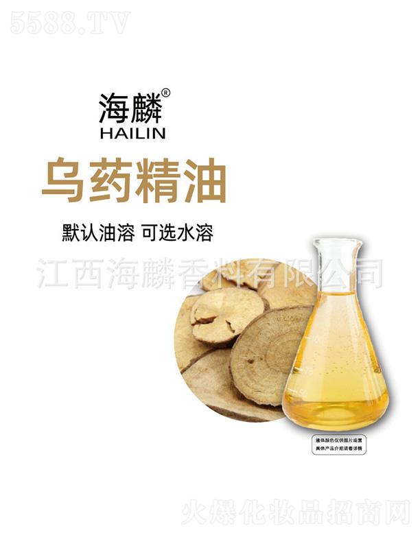 �����ˎ����