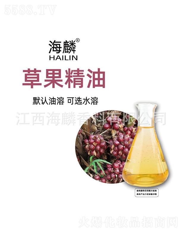 ����ݹ�����