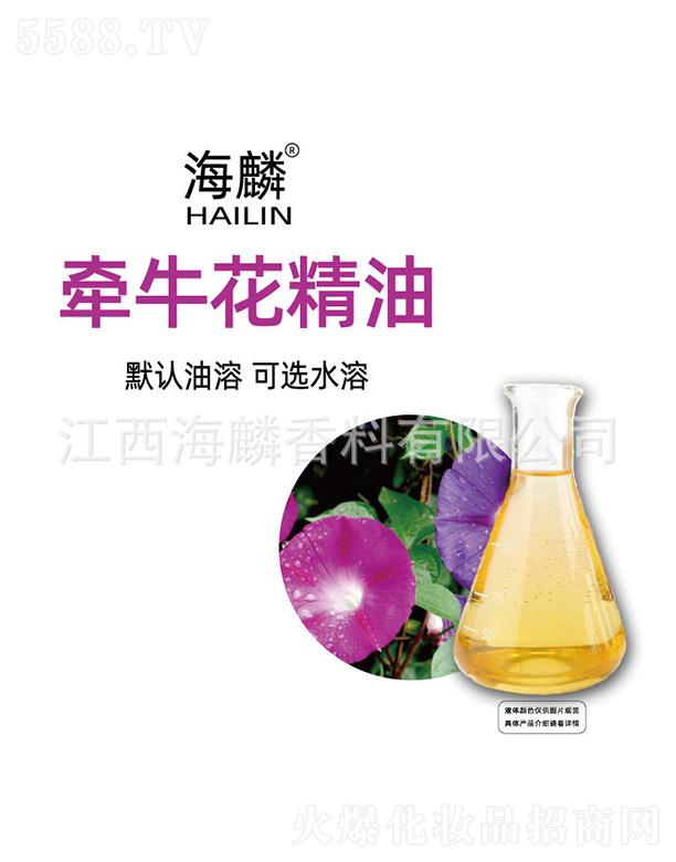 ���렿��������