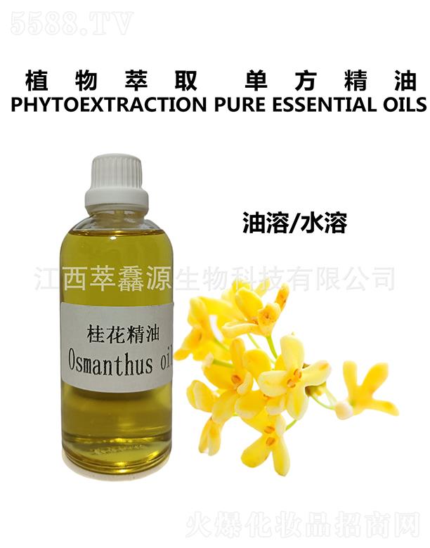 ���QԴ�𻨾���