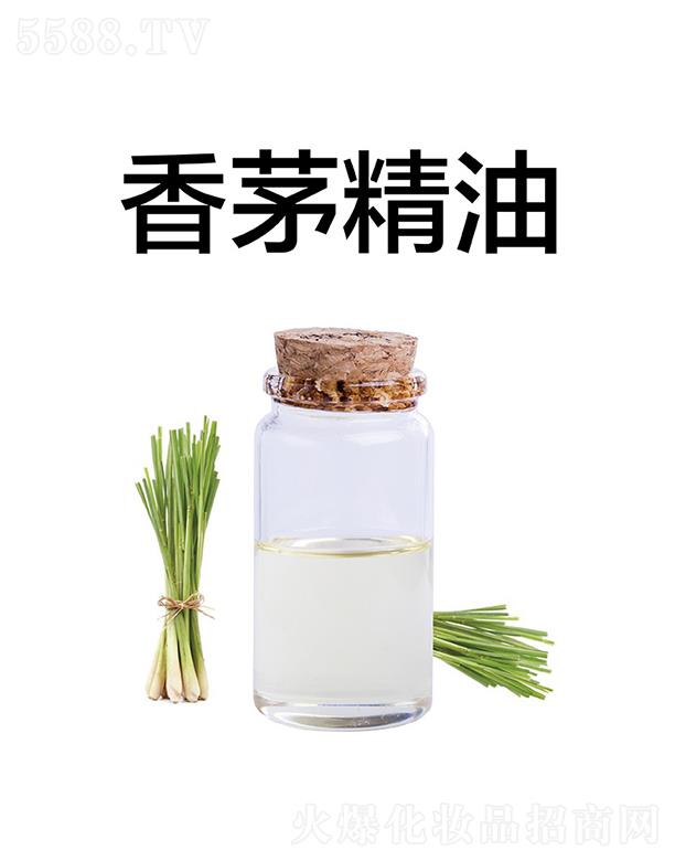 ������é����