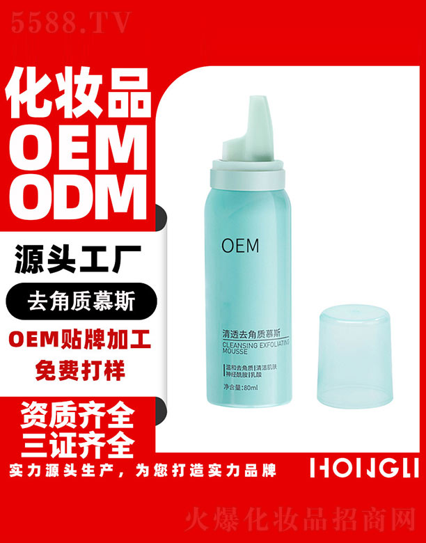 ��͸ȥ���|(zh��)Ľ˹