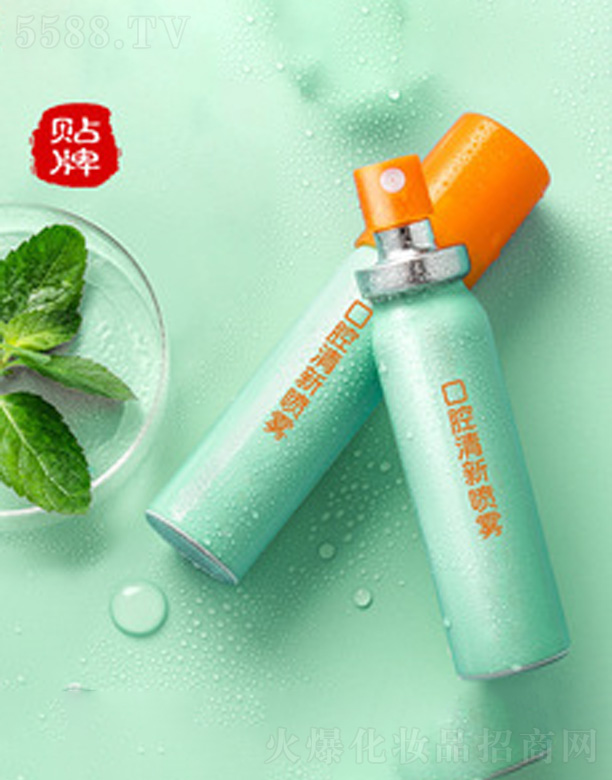 ���ɿ�ǻ�����F��oem