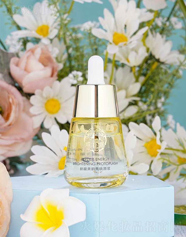 �����������wԭ�{