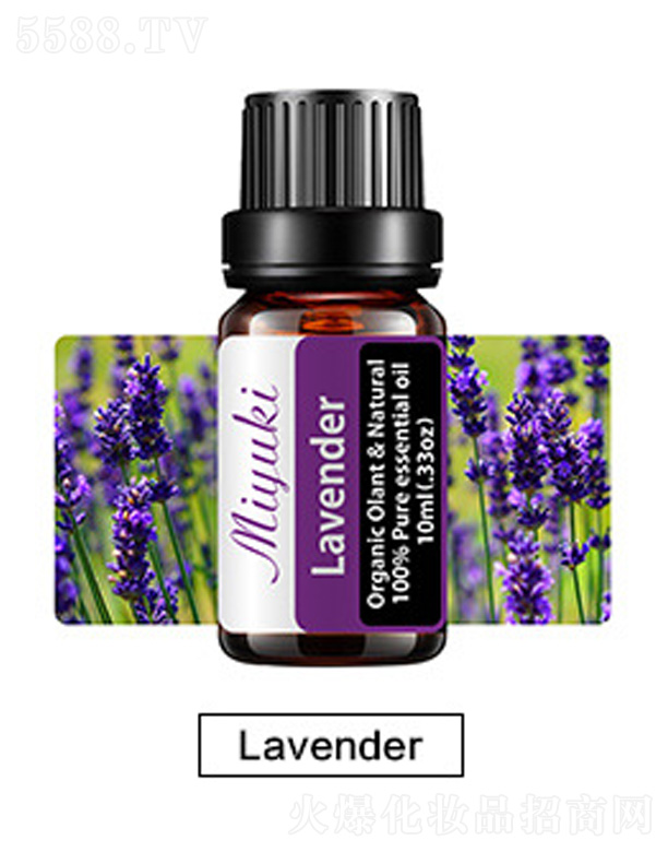 �o�w��޹��Ħ��-޹�²�