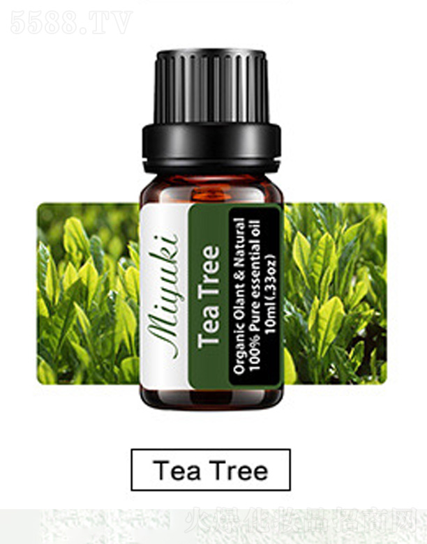 �o�w��޹��Ħ��-Tea Tree���