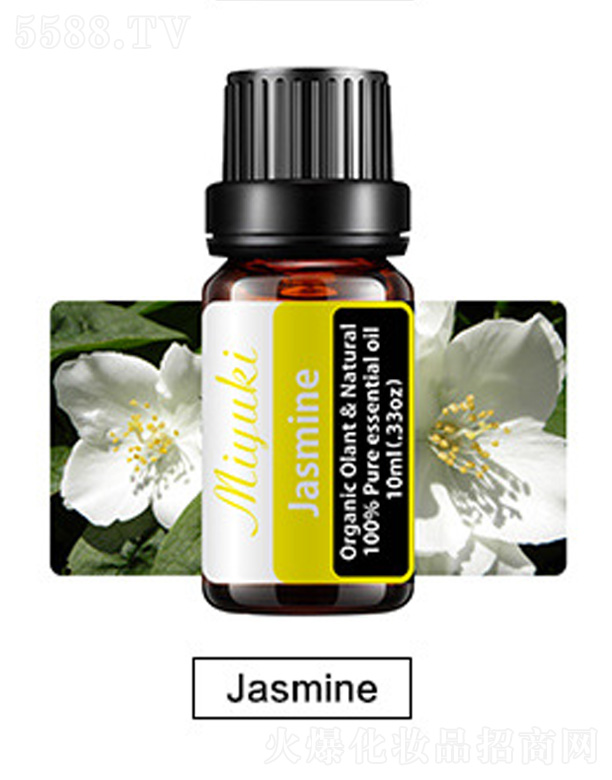 �o(h��)�w��޹��Ħ��-Jasmine����