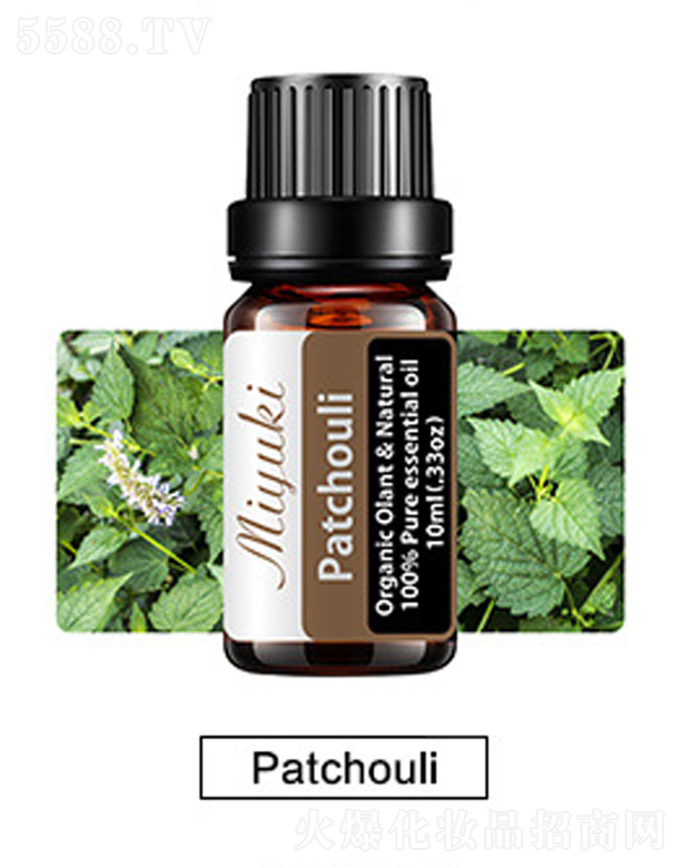 �o(h��)�w��޹��Ħ��-Patchouli�V޽��