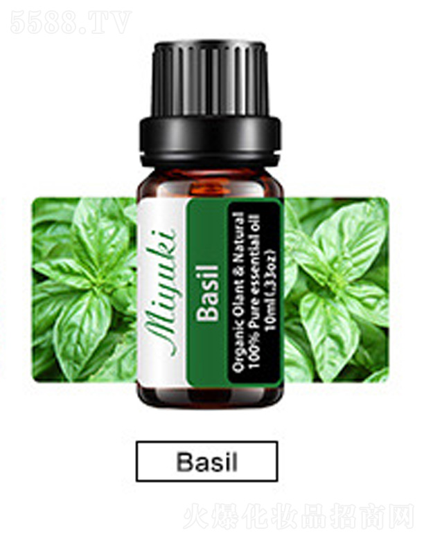 �o(h��)�w��޹��Ħ��-Basil�_��