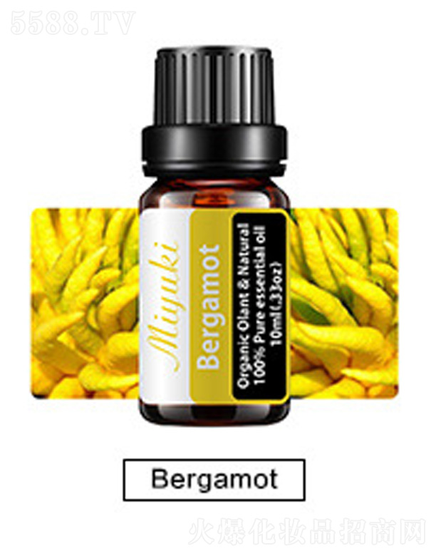 �o(h��)�w��޹��Ħ��-Bergamot���ָ�