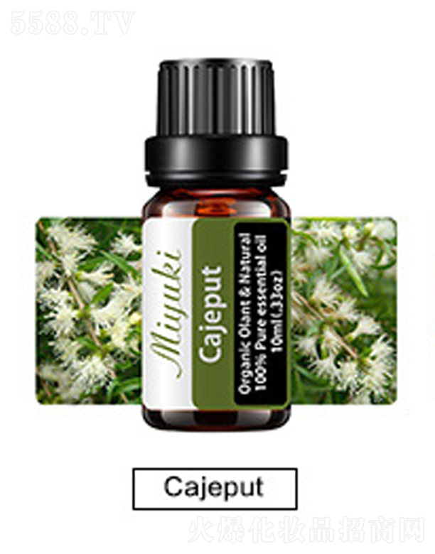 �o(h��)�w��޹��Ħ��-Cajeput��ǧ��