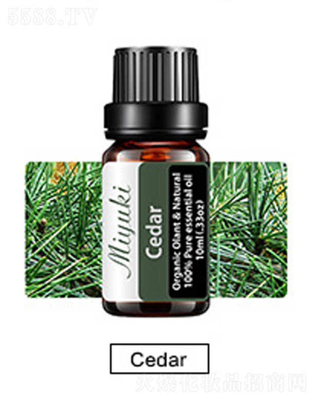 �o(h��)�w��޹��Ħ��-ѩ��