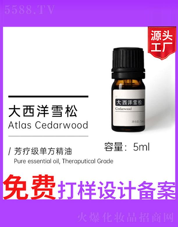 ������ѩ��