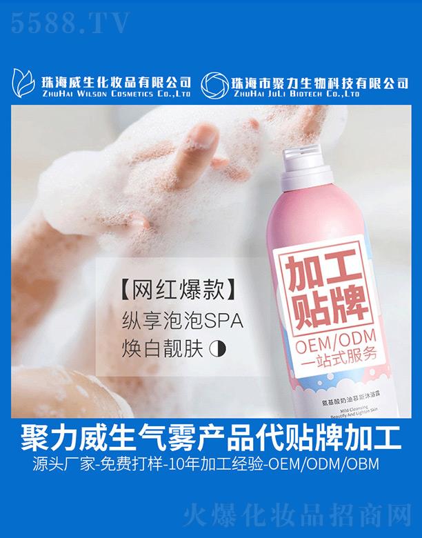 ����������Ľ˹��ԡ¶