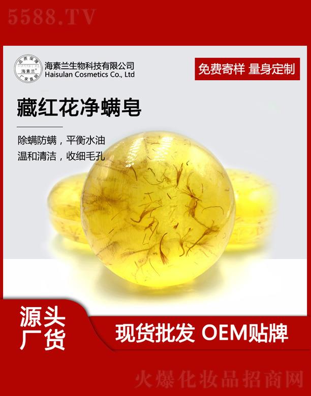 �����m�ؼt��������