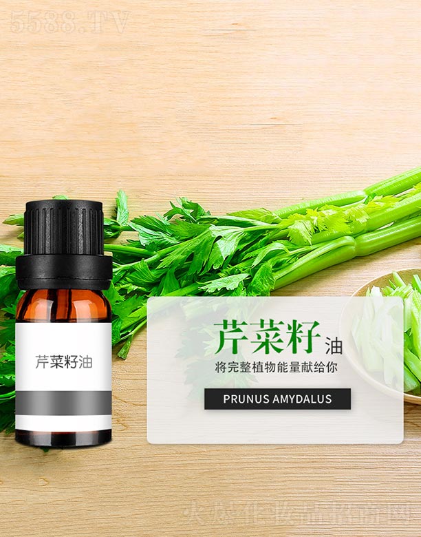 �۲�����