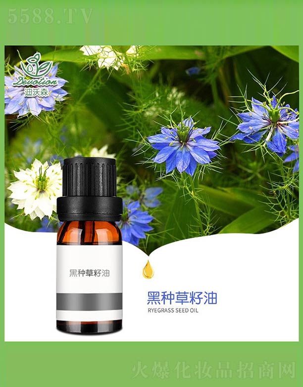 �ڷN������