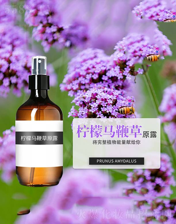 �����R�޲�ԭ¶